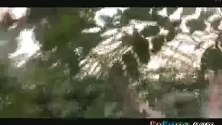 كاميرا خفية تلتقط أفلام إباحية
