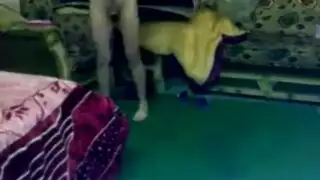 الوضع الغرنسي