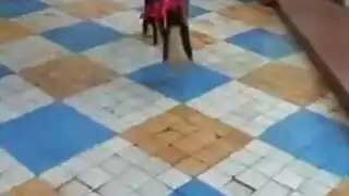 النمساوي جوارب محلول