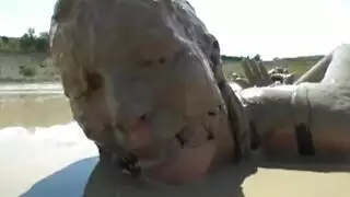 ينكها صحب البيت