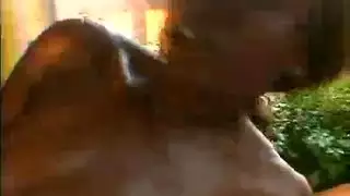 ثلاثة زباة في طزها