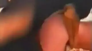 حركة حيوانات محرمة مع عابرة وكلب